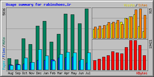 Usage summary for rabinshoes.ir